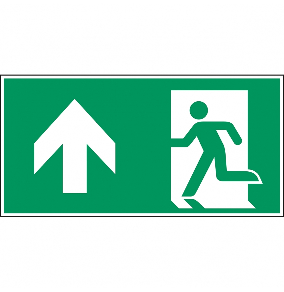 Wyjście ewakuacyjne lewostronne – ISO 7010, E/A0/E001/NT-SA-400X200/1-B