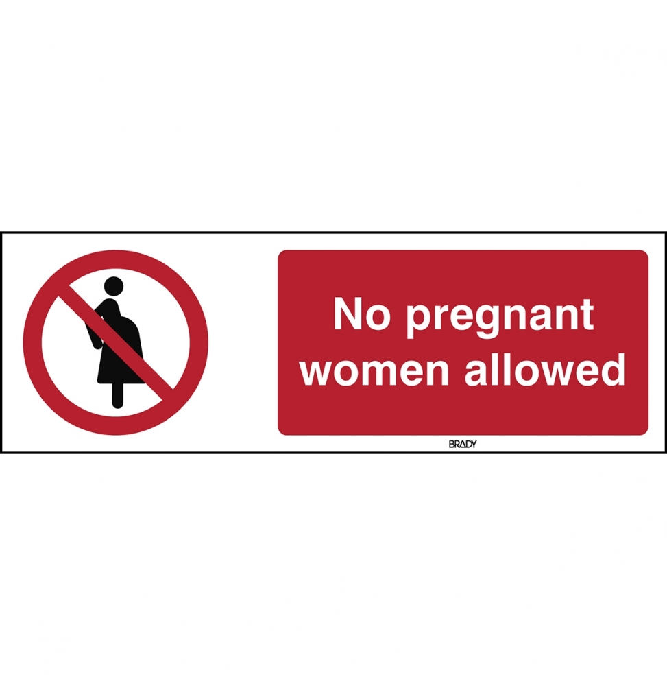 Znak bezpieczeństwa ISO – Zakaz wstępu dla kobiet w ciąży, P/P042/EN400/PE-297X105-1