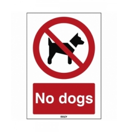 Znak bezpieczeństwa ISO - Zakaz wprowadzania psów, P/P021/EN208/TWM-148X210-1