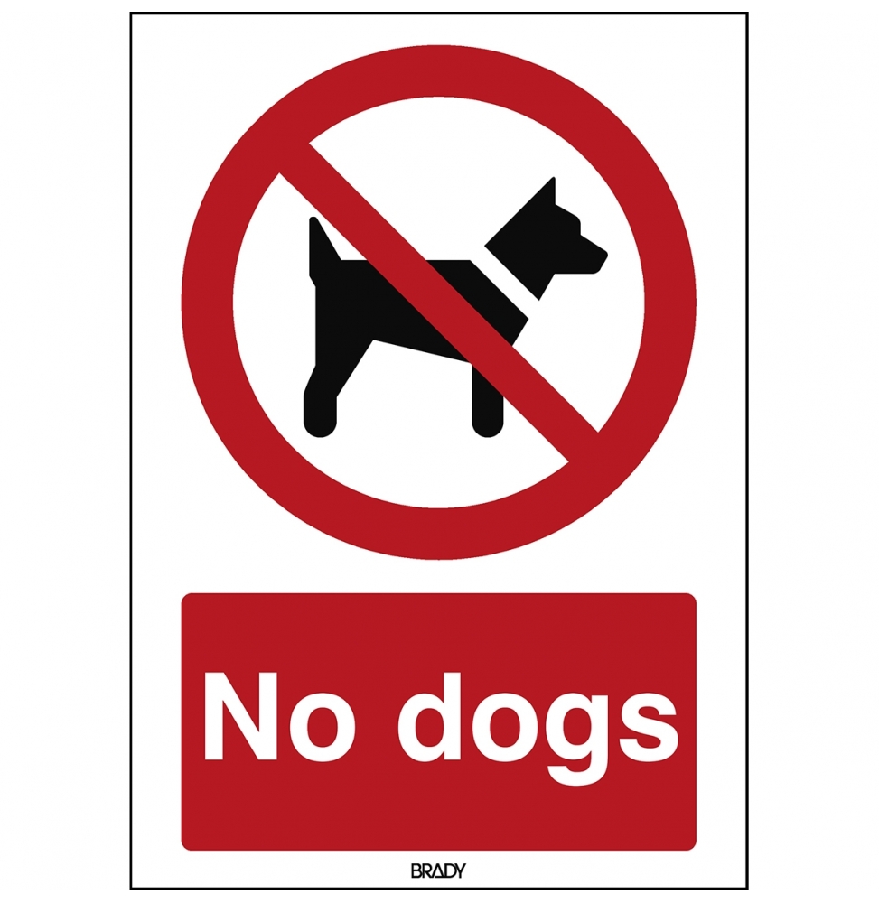 Znak bezpieczeństwa ISO – Zakaz wprowadzania psów, P/P021/EN208/TW-148X210-1