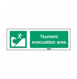 Znak bezpieczeństwa ISO – Miejsce ewakuacji przed tsunami, E/E062/EN415/PE-297X105-1