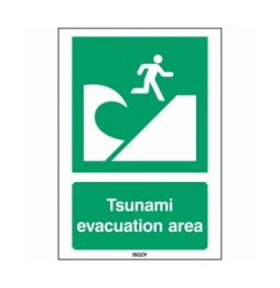 Znak bezpieczeństwa ISO – Miejsce ewakuacji przed tsunami, E/E062/EN415/PE-148X210-1