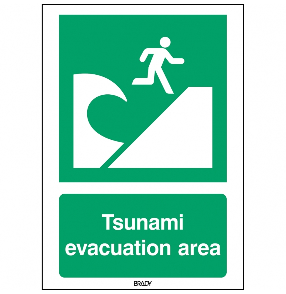 Znak bezpieczeństwa ISO – Miejsce ewakuacji przed tsunami, E/E062/EN415/PE-148X210-1