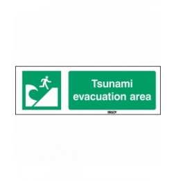 Znak bezpieczeństwa ISO – Miejsce ewakuacji przed tsunami, E/E062/EN415/PP-150X50-1