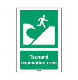 Znak bezpieczeństwa ISO – Miejsce ewakuacji przed tsunami, E/E062/EN415/ALU-210X297-1