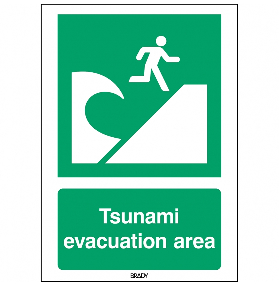 Znak bezpieczeństwa ISO – Miejsce ewakuacji przed tsunami, E/E062/EN415/ALU-210X297-1