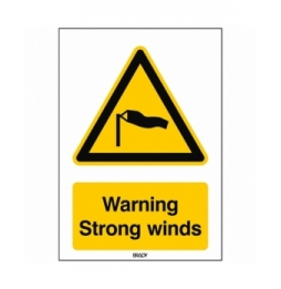 Znak bezpieczeństwa ISO – Ostrzeżenie przed silnymi wiatrami, W/W064/EN507/PE-148X210-1
