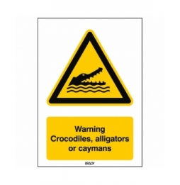 Znak bezpieczeństwa ISO – Ostrzeżenie przed krokodylami, aligatorami lub kajm…, W/W067/EN510/PE-148X210-1