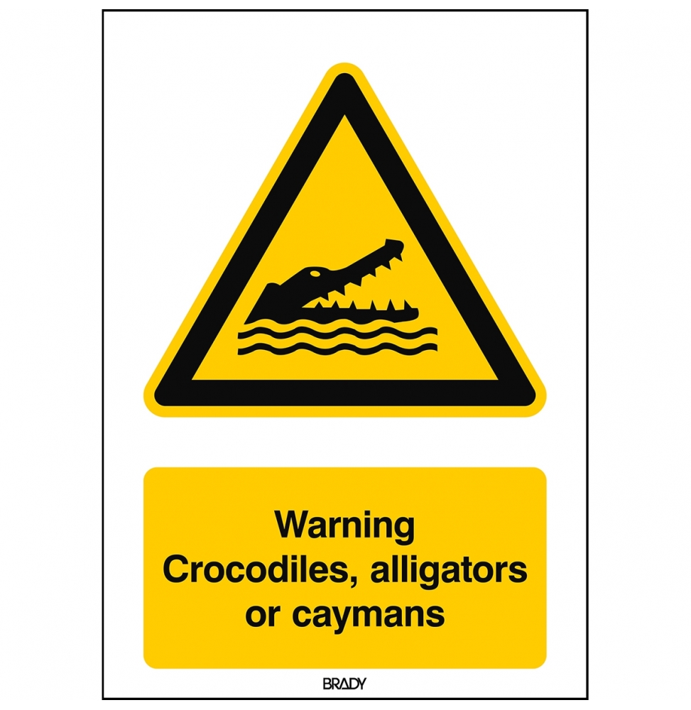 Znak bezpieczeństwa ISO – Ostrzeżenie przed krokodylami, aligatorami lub kajm…, W/W067/EN510/ALU-210X297-1