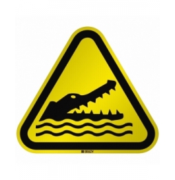 Ostrzeżenie przed krokodylami, aligatorami lub kajmanami, W/W067/NT/RFL-TRI310-1