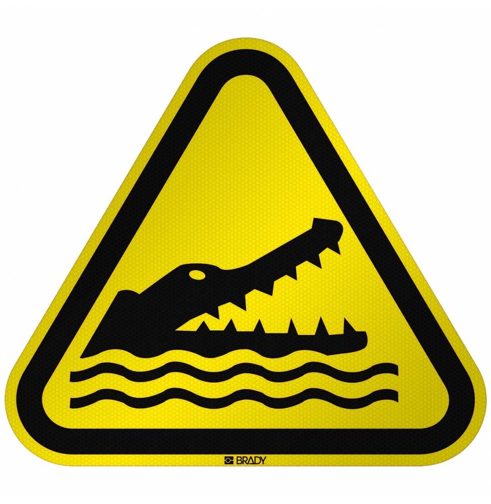 Ostrzeżenie przed krokodylami, aligatorami lub kajmanami, W/W067/NT/RFL-TRI310-1