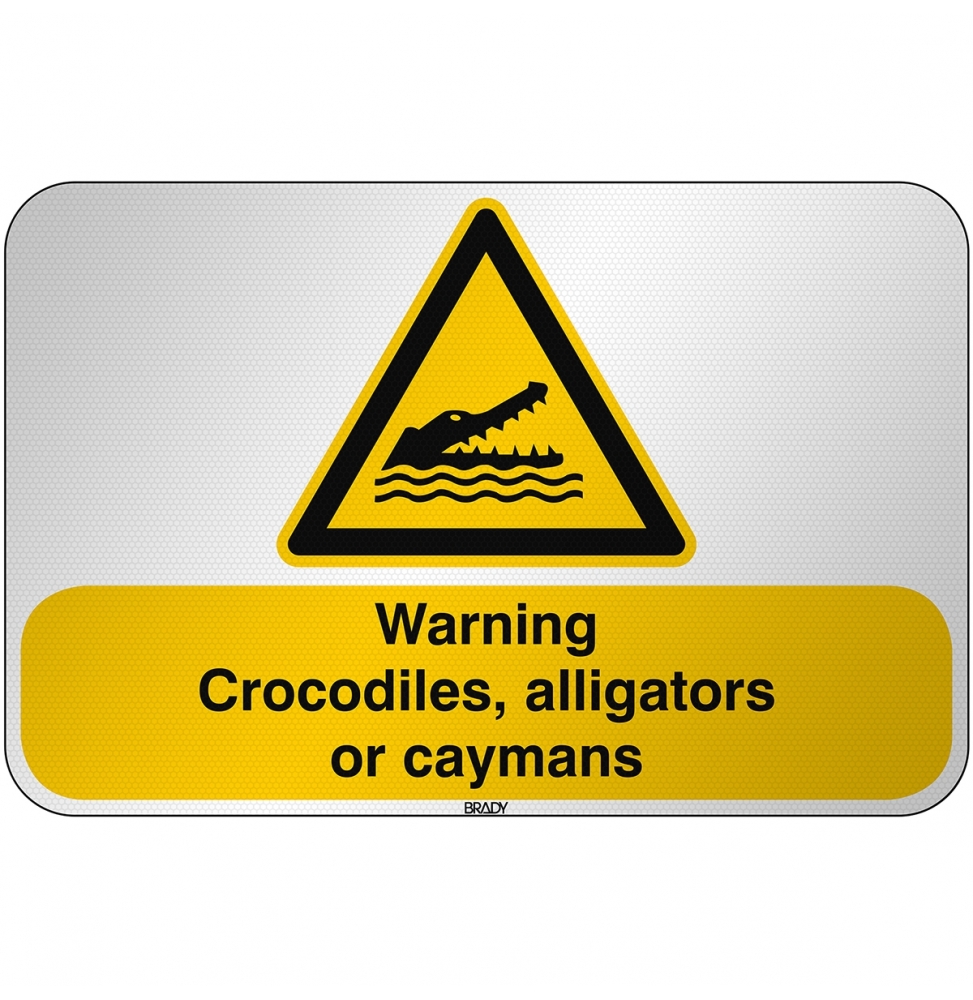 Ostrzeżenie przed krokodylami, aligatorami lub kajmanami, W/W067/EN510/RFL-590X390-1