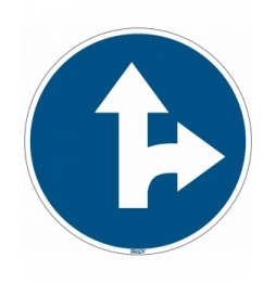 Znak podłogowy – Nakaz przejścia prosto i w prawo, PIC910-D350-FLO