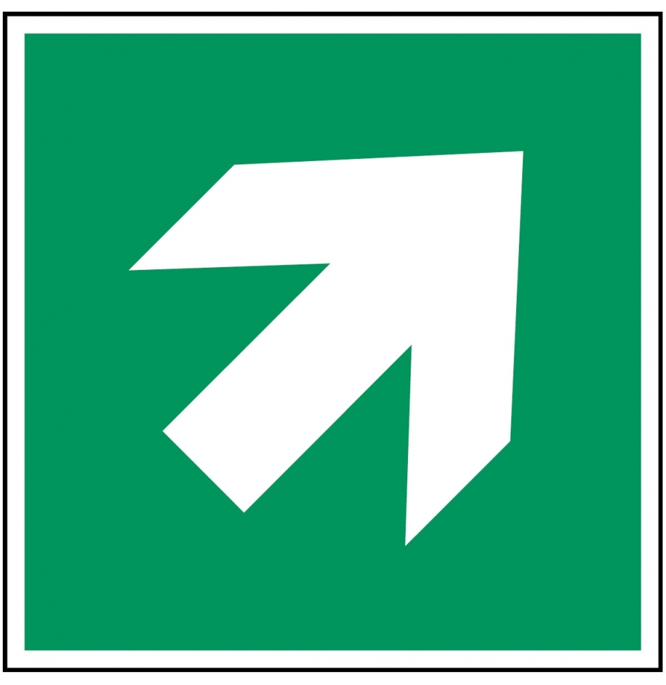 Znak bezpieczeństwa ISO – Kierunek drogi ewakuacyjnej 45° (przyrosty 90°), st…, PIC A045-250X250-PP-CRD/1